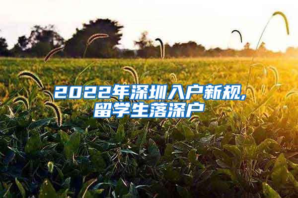 上海居住证积分左边加分右边项