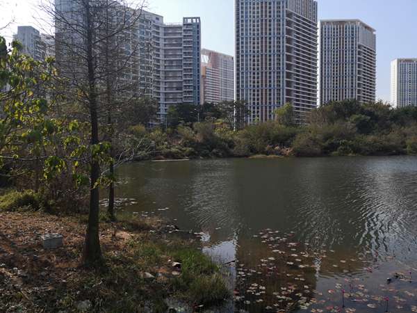 上海居住证有效期多久 上海居住证有效期为