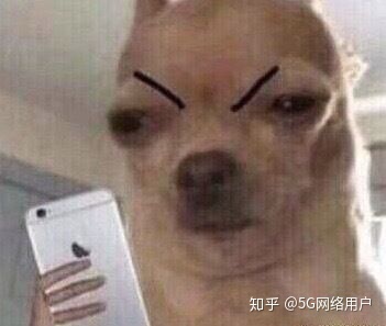 上海有名的日本研究生留学机构