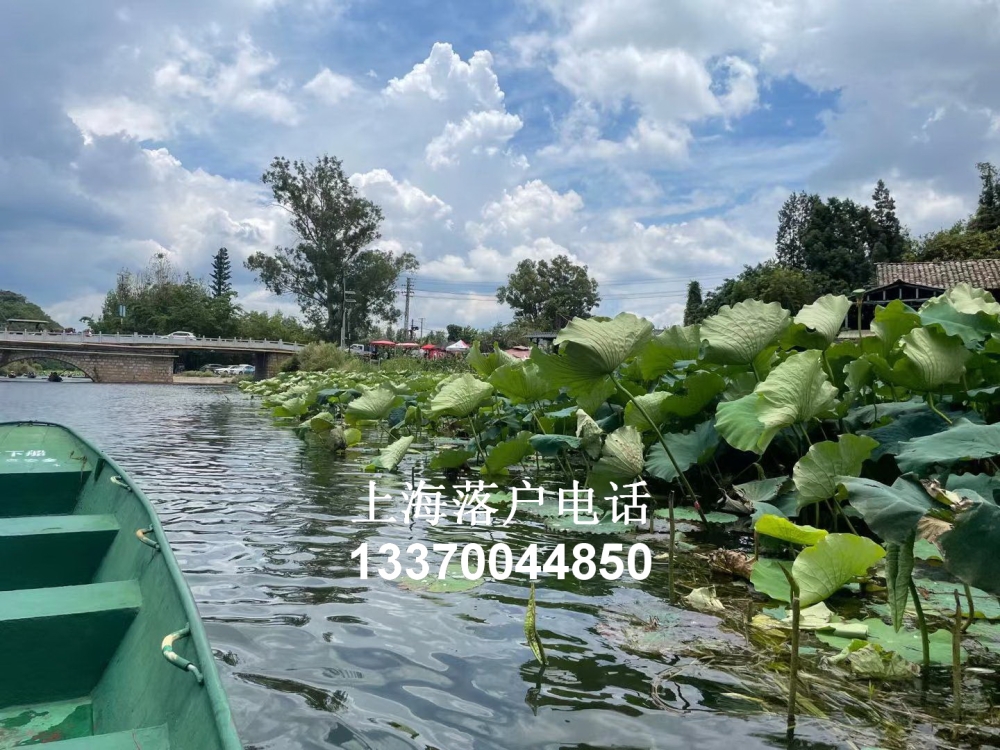 左边华律网右边