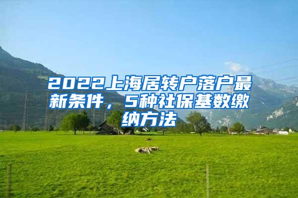 留学生回国可以享受哪些福利政策？落户，免税车...