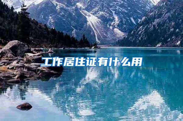 上海引进人才 世界前50院校留学生可直接落户 排名如何认定？