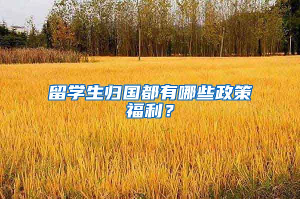 留学生归国都有哪些政策福利？