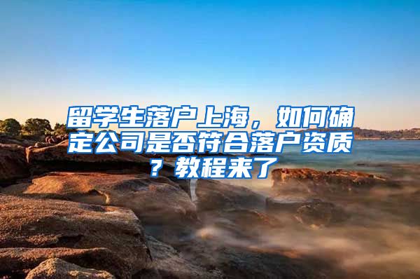 留学生落户上海，如何确定公司是否符合落户资质？教程来了