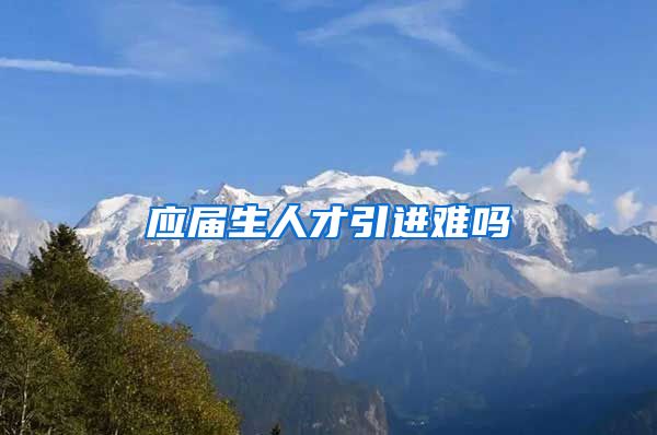 应届生人才引进难吗