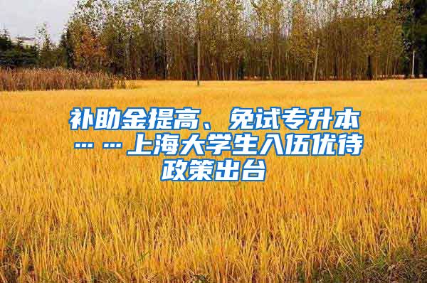 补助金提高、免试专升本……上海大学生入伍优待政策出台