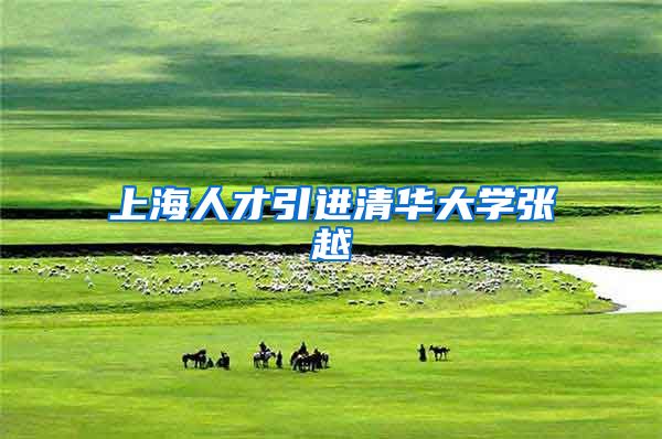 上海人才引进清华大学张越