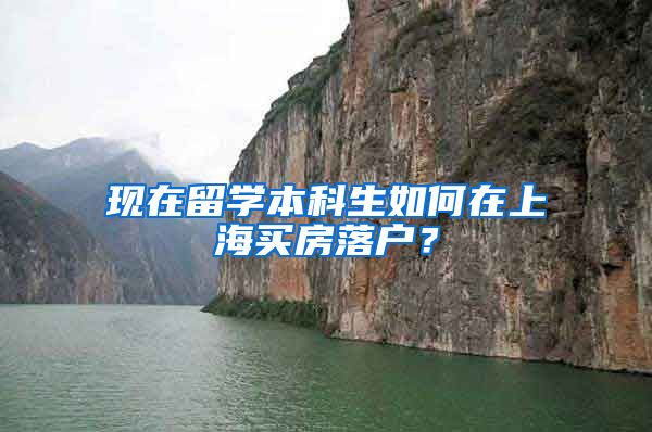 现在留学本科生如何在上海买房落户？