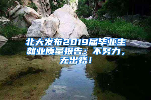 北大发布2019届毕业生就业质量报告：不努力，无出路！