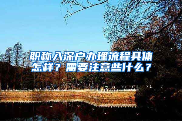 职称入深户办理流程具体怎样？需要注意些什么？