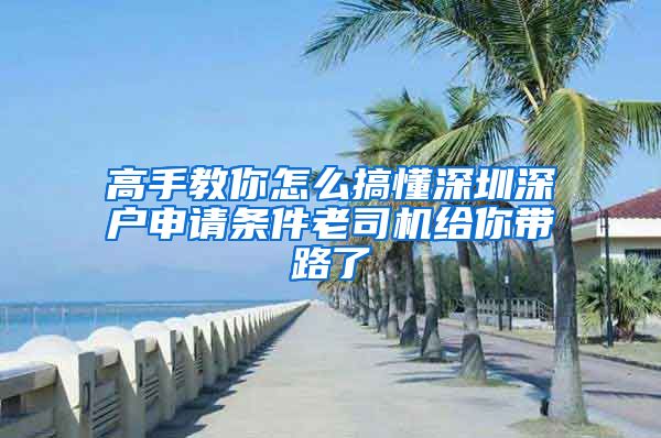 高手教你怎么搞懂深圳深户申请条件老司机给你带路了