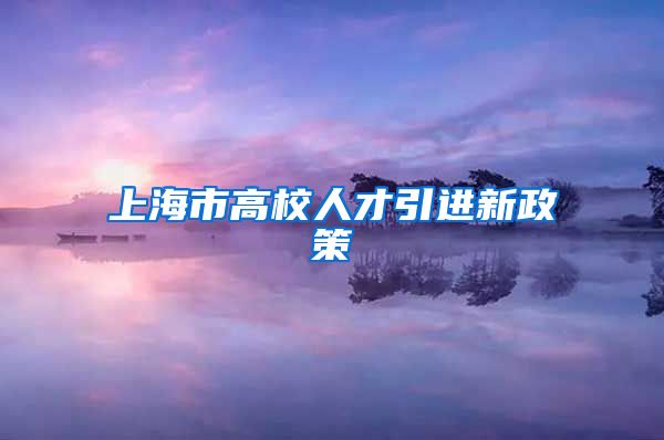 上海市高校人才引进新政策