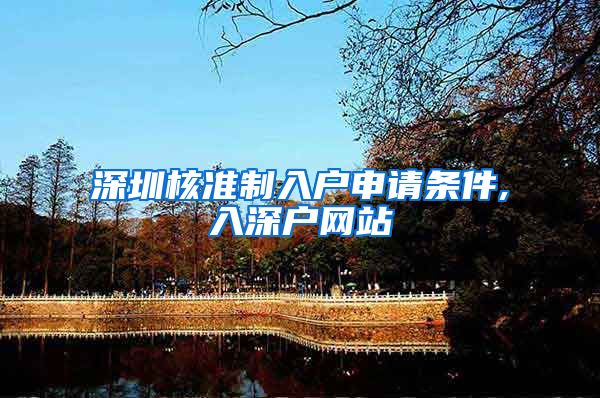 深圳核准制入户申请条件,入深户网站