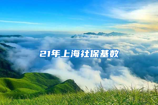 21年上海社保基数
