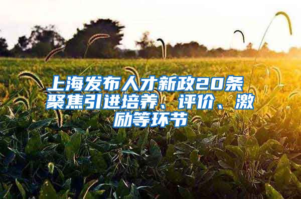 上海发布人才新政20条 聚焦引进培养、评价、激励等环节