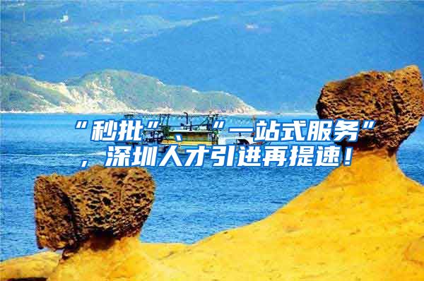 “秒批”、“一站式服务”，深圳人才引进再提速！