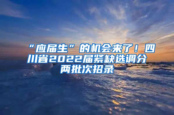 “应届生”的机会来了！四川省2022届紧缺选调分两批次招录