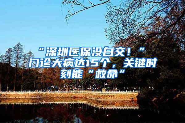 “深圳医保没白交！” 门诊大病达15个，关键时刻能“救命”