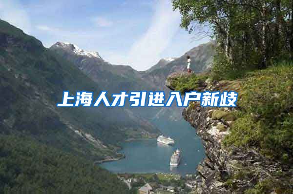 上海人才引进入户新歧