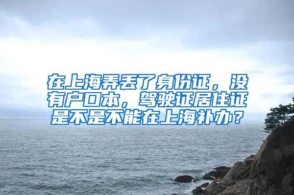 在上海弄丢了身份证，没有户口本，驾驶证居住证是不是不能在上海补办？
