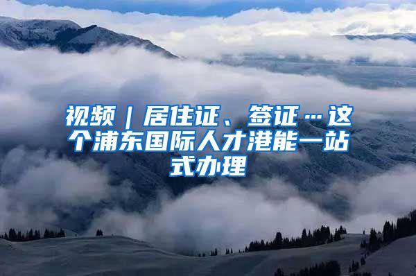 视频｜居住证、签证…这个浦东国际人才港能一站式办理