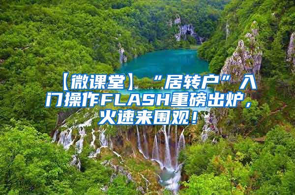 【微课堂】“居转户”入门操作FLASH重磅出炉，火速来围观！