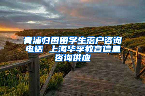青浦归国留学生落户咨询电话 上海华孚教育信息咨询供应