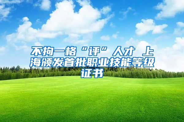 不拘一格“评”人才 上海颁发首批职业技能等级证书