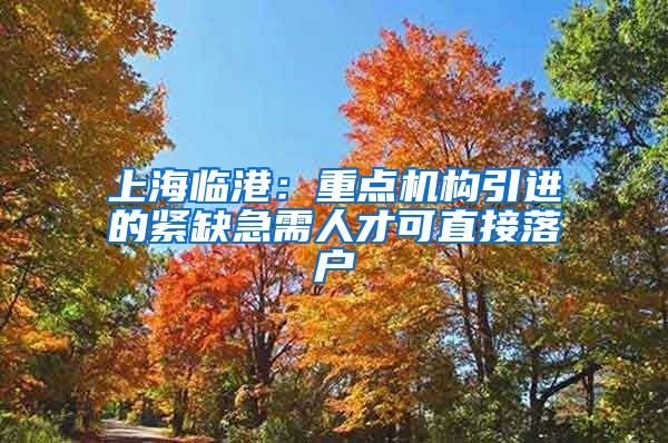 上海临港：重点机构引进的紧缺急需人才可直接落户