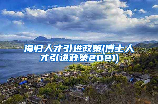 海归人才引进政策(博士人才引进政策2021)