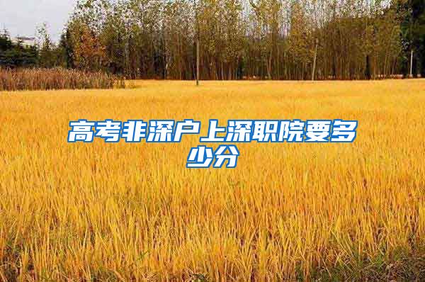 高考非深户上深职院要多少分