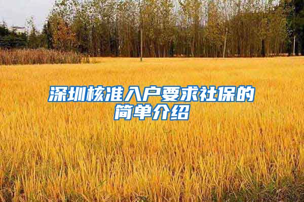 深圳核准入户要求社保的简单介绍