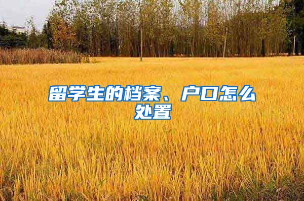 留学生的档案、户口怎么处置