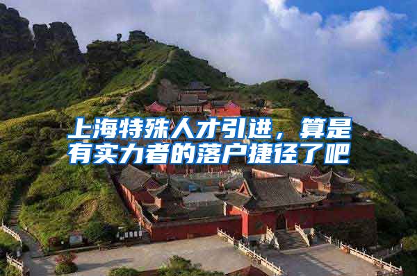 上海特殊人才引进，算是有实力者的落户捷径了吧