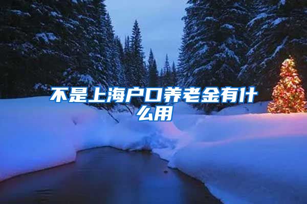 不是上海户口养老金有什么用