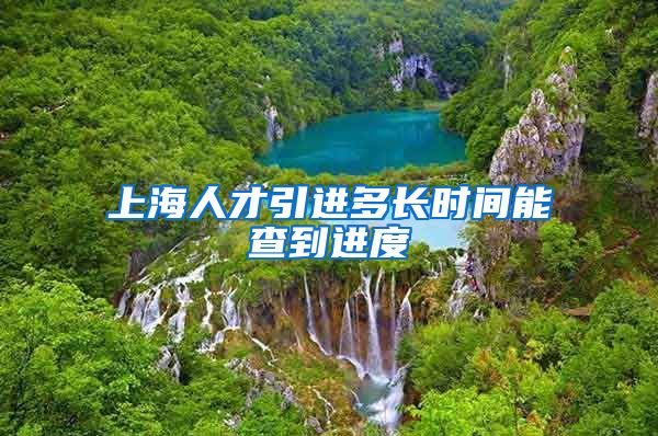 上海人才引进多长时间能查到进度