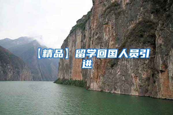 【精品】留学回国人员引进
