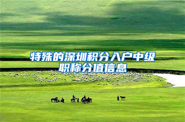 特殊的深圳积分入户中级职称分值信息