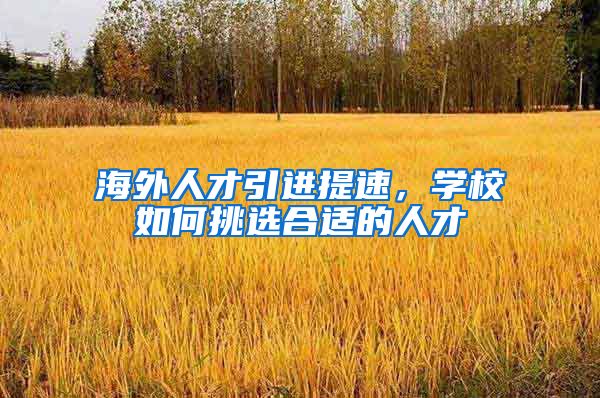 海外人才引进提速，学校如何挑选合适的人才