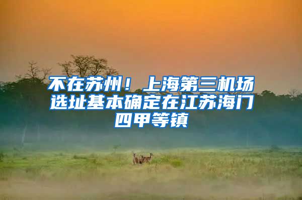 不在苏州！上海第三机场选址基本确定在江苏海门四甲等镇