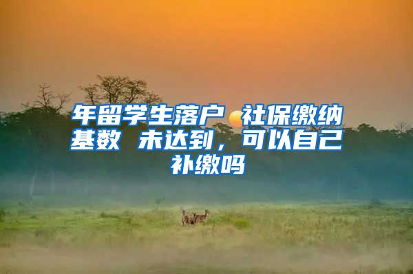 年留学生落户 社保缴纳基数 未达到，可以自己补缴吗