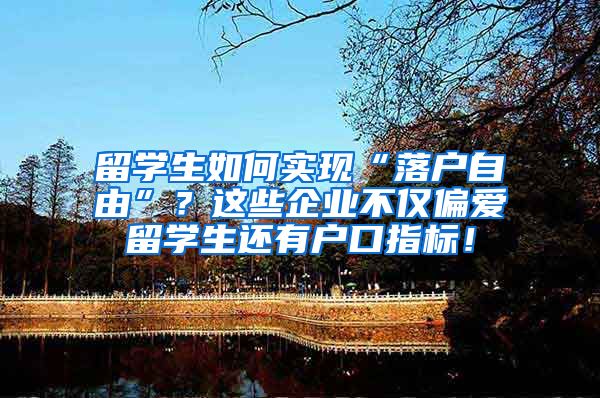 留学生如何实现“落户自由”？这些企业不仅偏爱留学生还有户口指标！