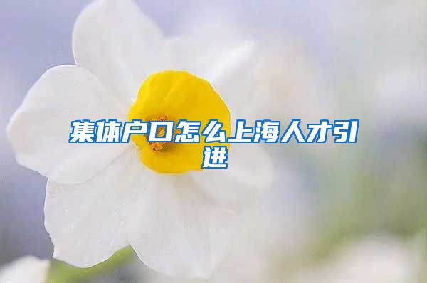集体户口怎么上海人才引进