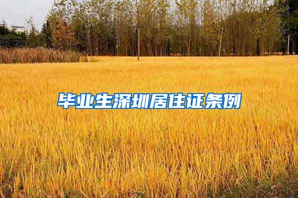 毕业生深圳居住证条例