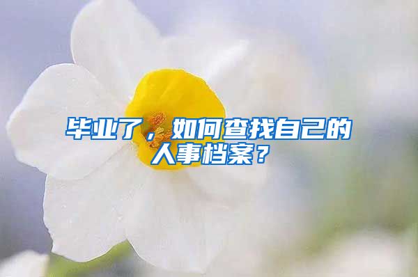 毕业了，如何查找自己的人事档案？