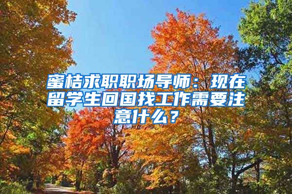 蜜桔求职职场导师：现在留学生回国找工作需要注意什么？