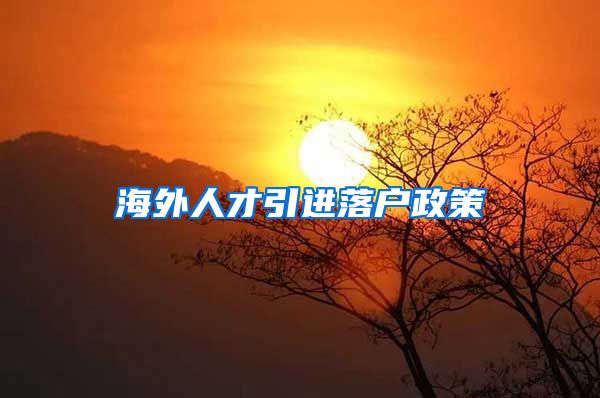海外人才引进落户政策