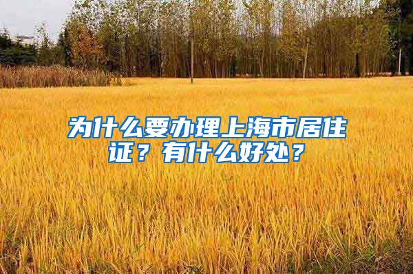 为什么要办理上海市居住证？有什么好处？