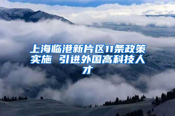 上海临港新片区11条政策实施 引进外国高科技人才
