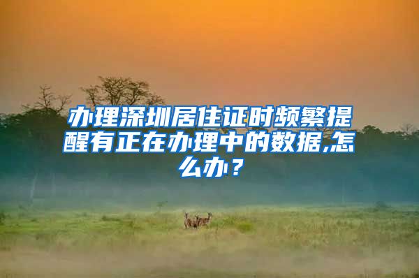 办理深圳居住证时频繁提醒有正在办理中的数据,怎么办？